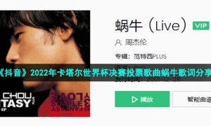 《抖音》2022年卡塔尔世界杯决赛投票歌曲蜗牛歌词分享