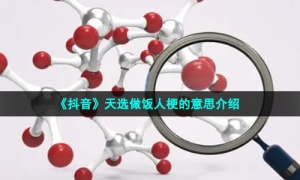 《抖音》天选做饭人梗的意思介绍