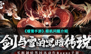 《暖雪手游》联机问题介绍