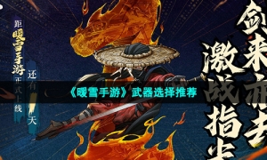 《暖雪手游》武器选择推荐