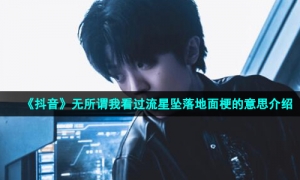 《抖音》无所谓我看过流星坠落地面梗的意思介绍