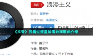 《抖音》我看过流星坠落地面歌曲介绍