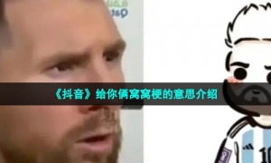 《抖音》给你俩窝窝梗的意思介绍