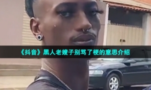 《抖音》黑人老嫂子别骂了梗的意思介绍