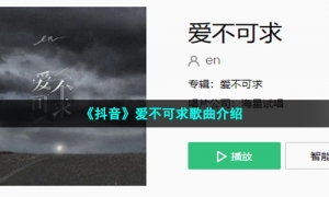 《抖音》爱不可求歌曲介绍