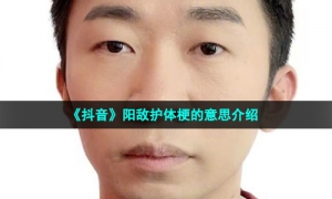 《抖音》阳敌护体梗的意思介绍