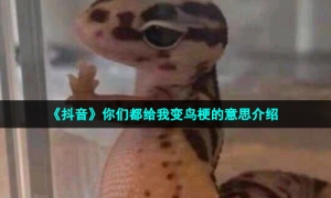 《抖音》你们都给我变鸟梗的意思介绍