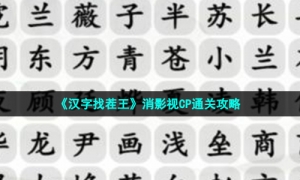 《汉字找茬王》消影视CP通关攻略