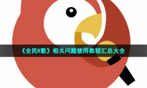 《全民K歌》相关问题使用教程汇总大全