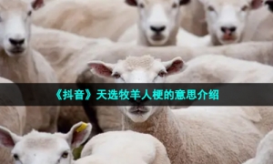 《抖音》天选牧羊人梗的意思介绍