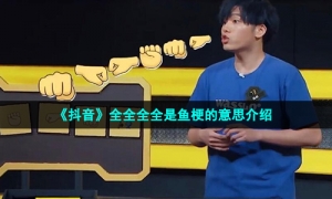 《抖音》全全全全是鱼梗的意思介绍