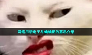 网络用语电子斗蛐蛐梗的意思介绍