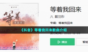 《抖音》等着我回来歌曲介绍