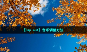 《Cap cut》音乐调整方法
