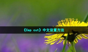 《Cap cut》中文设置方法