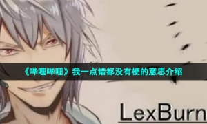 《哔哩哔哩》我一点错都没有梗的意思介绍