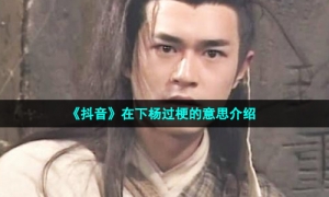 《抖音》在下杨过梗的意思介绍