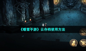 《暖雪手游》云存档使用方法