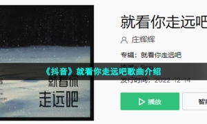 《抖音》就看你走远吧歌曲介绍