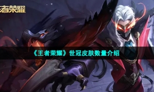 《王者荣耀》世冠皮肤数量介绍