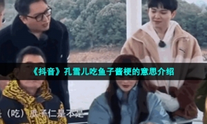 《抖音》孔雪儿吃鱼子酱梗的意思介绍