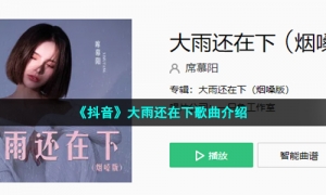 《抖音》大雨还在下歌曲介绍