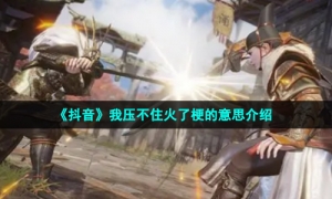 《抖音》我压不住火了梗的意思介绍