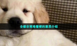 全都非常难看梗的意思介绍