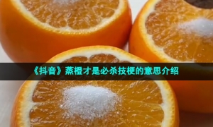 《抖音》蒸橙才是必杀技梗的意思介绍