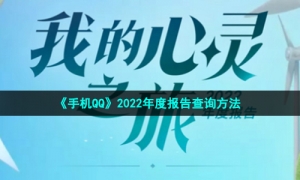《手机QQ》2022年度报告查询方法