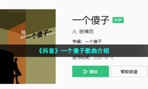 《抖音》一个傻子歌曲介绍