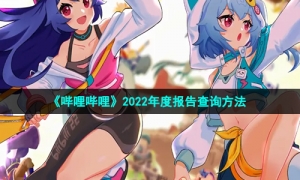 《哔哩哔哩》2022年度报告查询方法