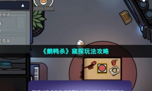 《鹅鸭杀》窥探玩法攻略