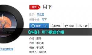 《抖音》月下歌曲介绍