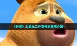 《抖音》北极光工作室梗的意思介绍