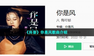 《抖音》你是风歌曲介绍