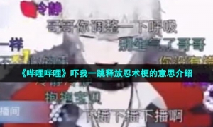 《哔哩哔哩》吓我一跳释放忍术梗的意思介绍