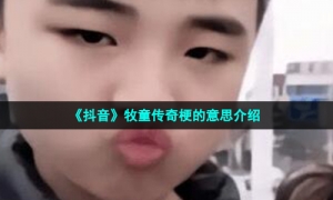 《抖音》牧童传奇梗的意思介绍