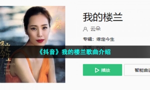 《抖音》我的楼兰歌曲介绍