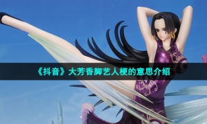 《抖音》大芳香脚艺人梗的意思介绍