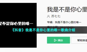 《抖音》我是不是你心里的唯一歌曲介绍