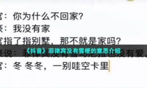 《抖音》菲律宾没有雪梗的意思介绍