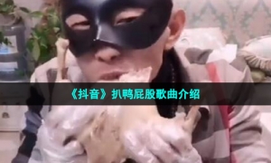 《抖音》扒鸭屁股歌曲介绍
