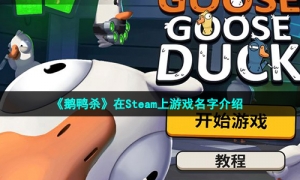 《鹅鸭杀》在Steam上游戏名字介绍