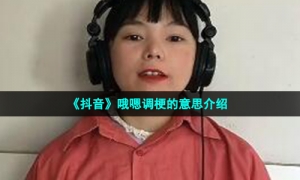《抖音》哦嗯调梗的意思介绍