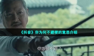 《抖音》你为何不避梗的意思介绍