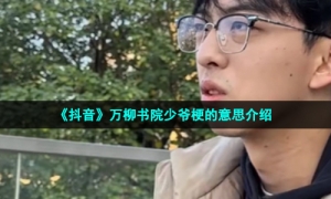 《抖音》万柳书院少爷梗的意思介绍