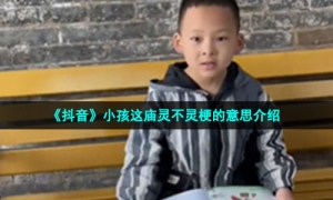 《抖音》小孩这庙灵不灵梗的意思介绍