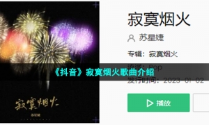 《抖音》寂寞烟火歌曲介绍
