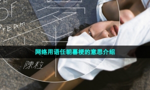 网络用语任朝暮梗的意思介绍